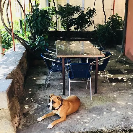Apartmán Thor