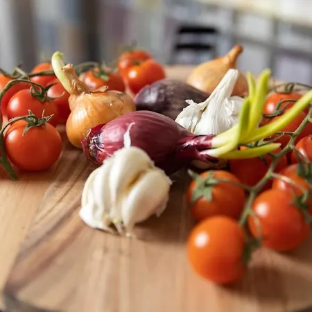 Apartment Thor Apartment *